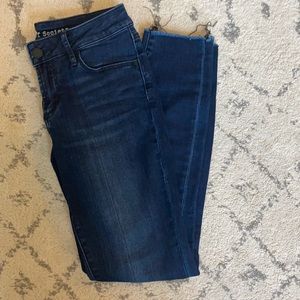 Articles of Society dark wash skinny jeans